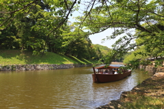彦根城のお堀を遊覧