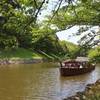 彦根城のお堀を遊覧