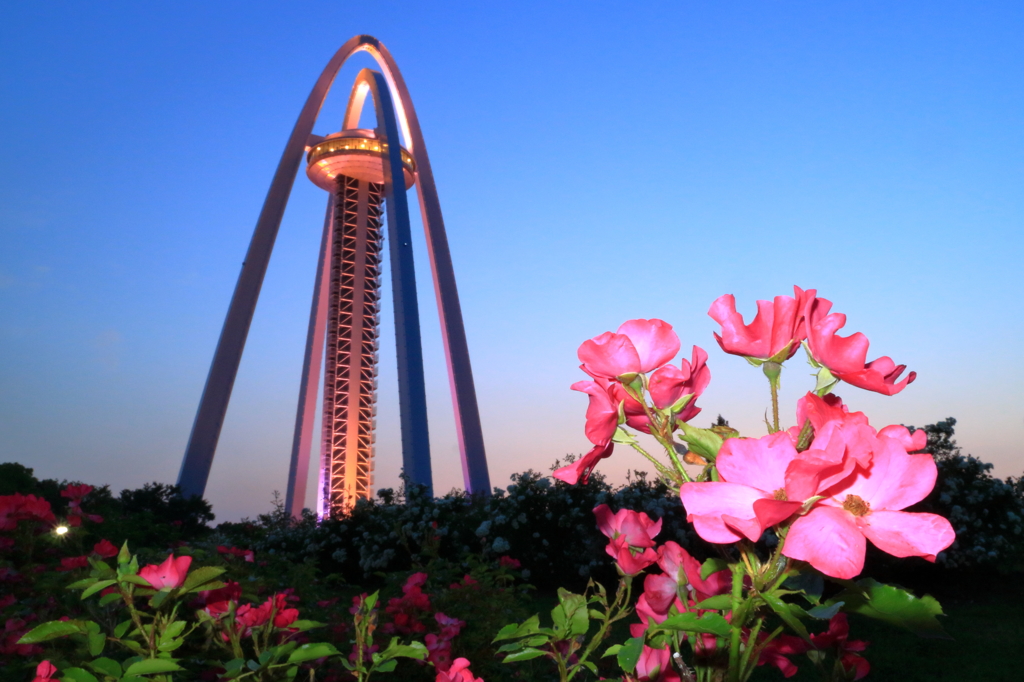 ロージーカーペット&ツインアーチ１３８