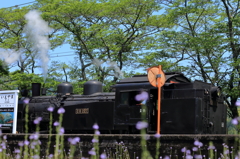 思いで＜大井川鉄道＞