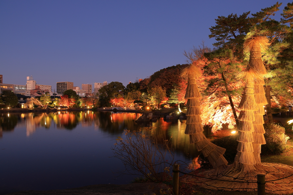 都会のオアシス