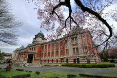 桜＜名古屋市政資料館＞