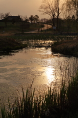 夕日で染まる