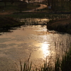 夕日で染まる