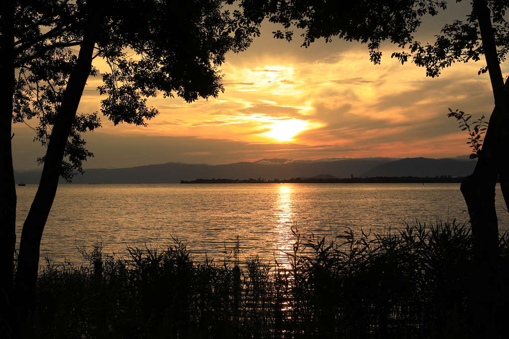 琵琶湖夕景