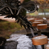 手水舎の龍