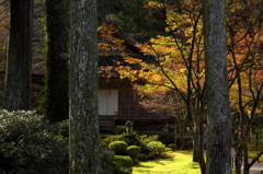 大原三千院の紅葉