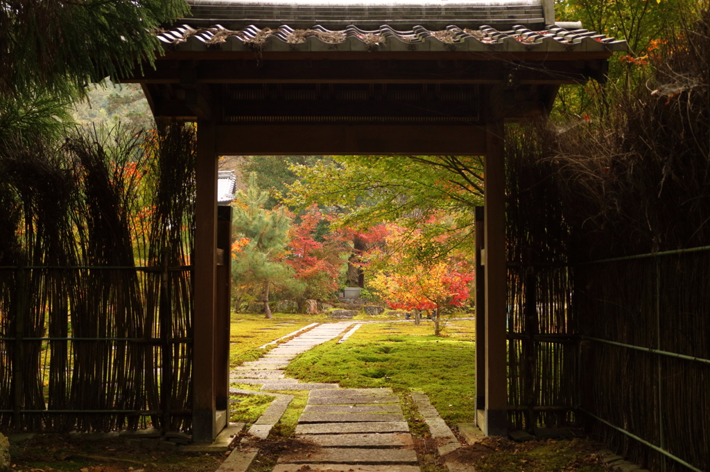 大智寺訪問