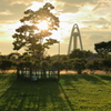 夕方の公園