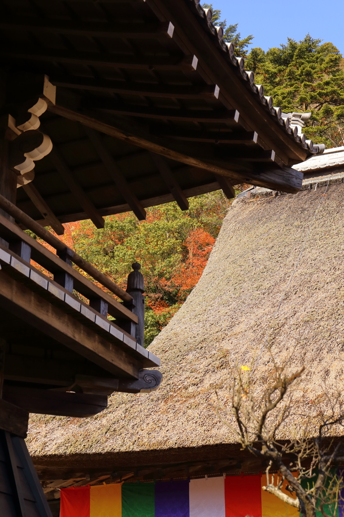 永源寺を訪れて