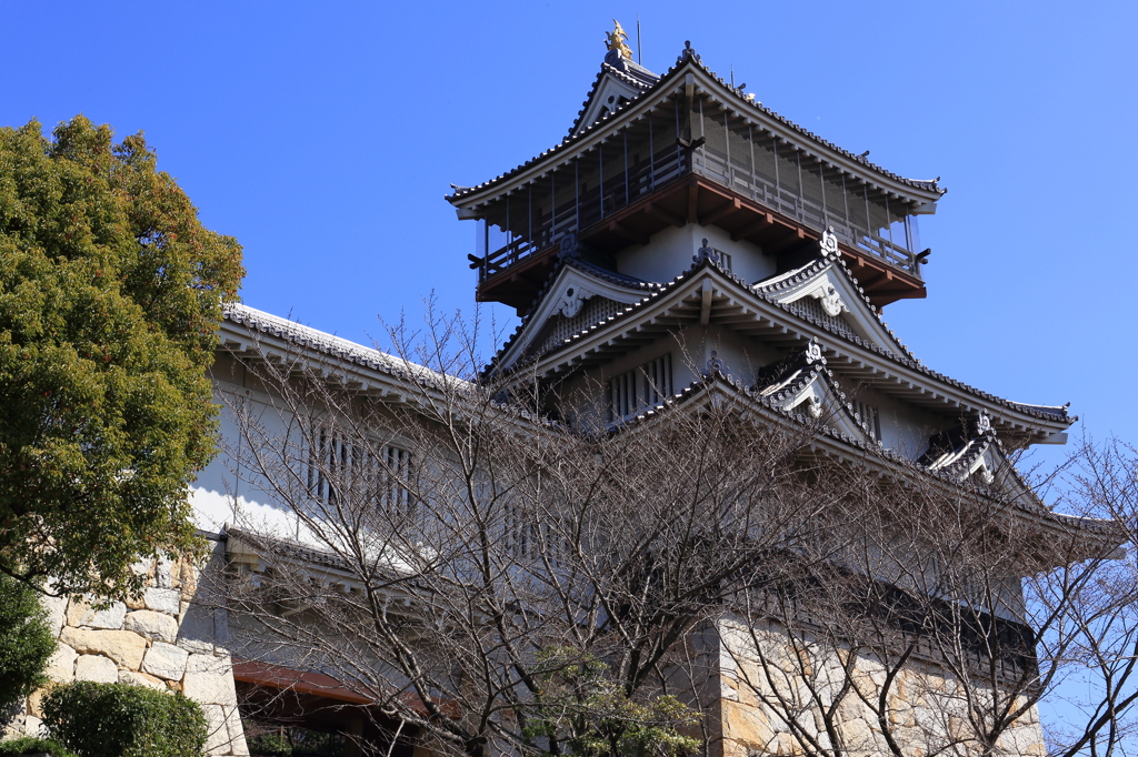 桜待つ岩崎城