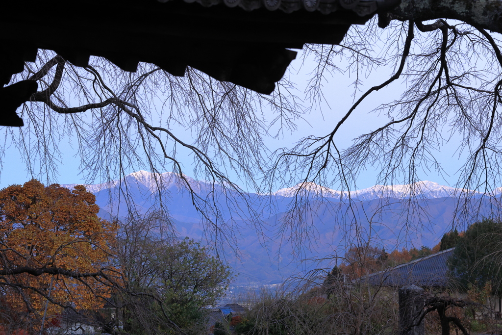 紅葉と南アルプス