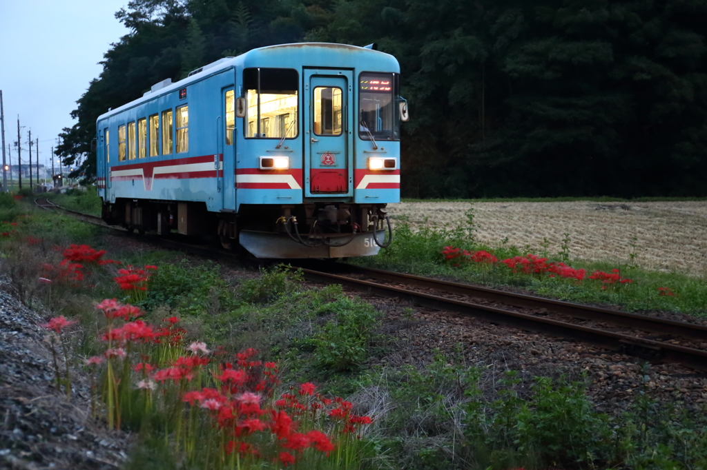 夕暮れの織部駅付近＜樽見鉄道＞