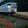 夕暮れの織部駅付近＜樽見鉄道＞