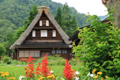 合掌造りはお花がお似合い