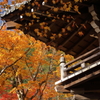 永源寺の紅葉