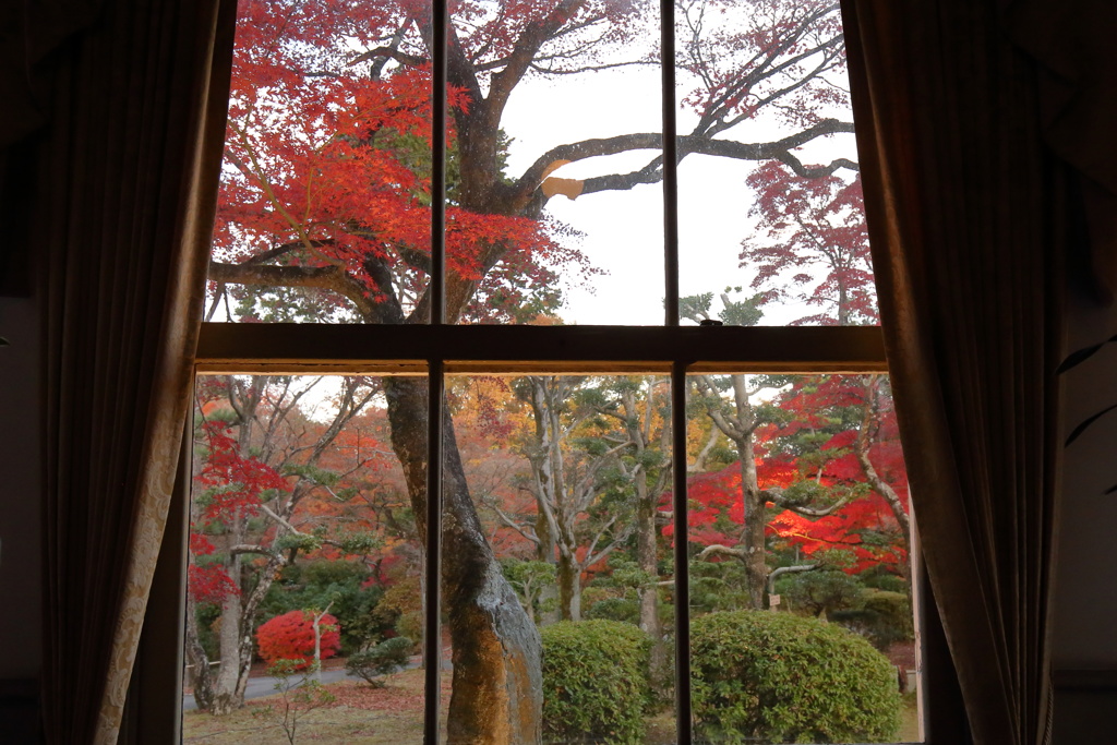 明治村紅葉<ライトアップ>