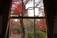明治村紅葉<ライトアップ>