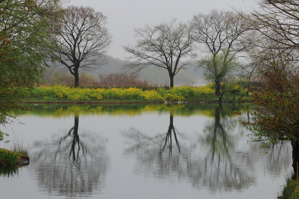 どんより木曽川水園