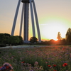 夕日