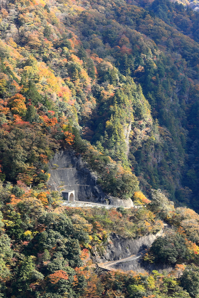 徳山ダム周辺紅葉
