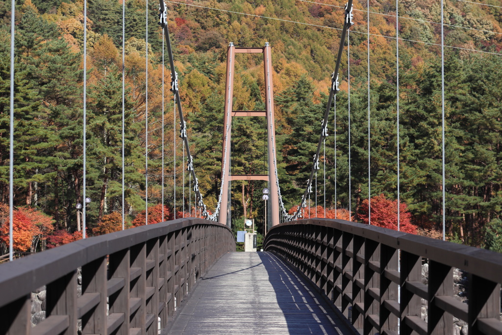 紅葉への道