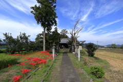 秋らしい雰囲気