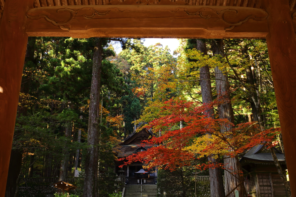 光前寺の紅葉