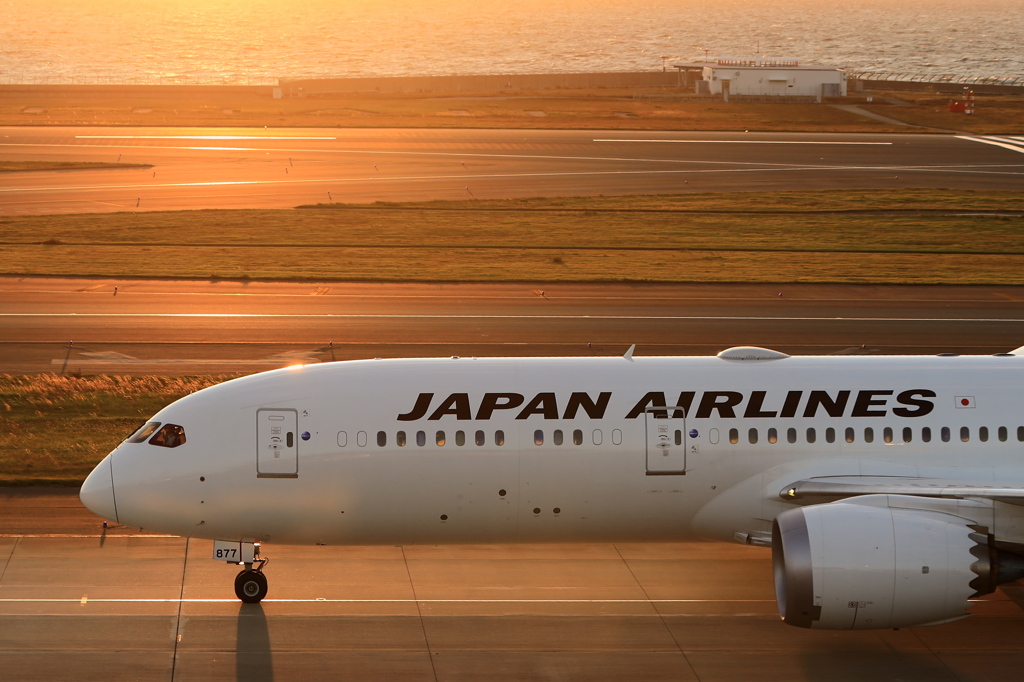 JAPAN AIRLINES