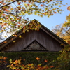 香嵐渓の紅葉