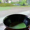癒し感のある淡い緑