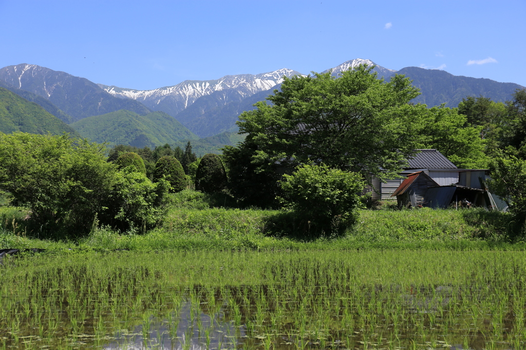 木曽の風景 2013