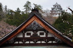 郡上城＆安養寺