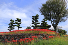 秋の松林寺