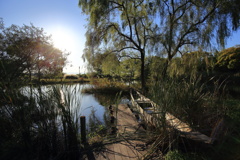 ひっそり木曽川水園