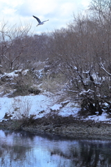 木曽川飛行