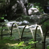 日差し