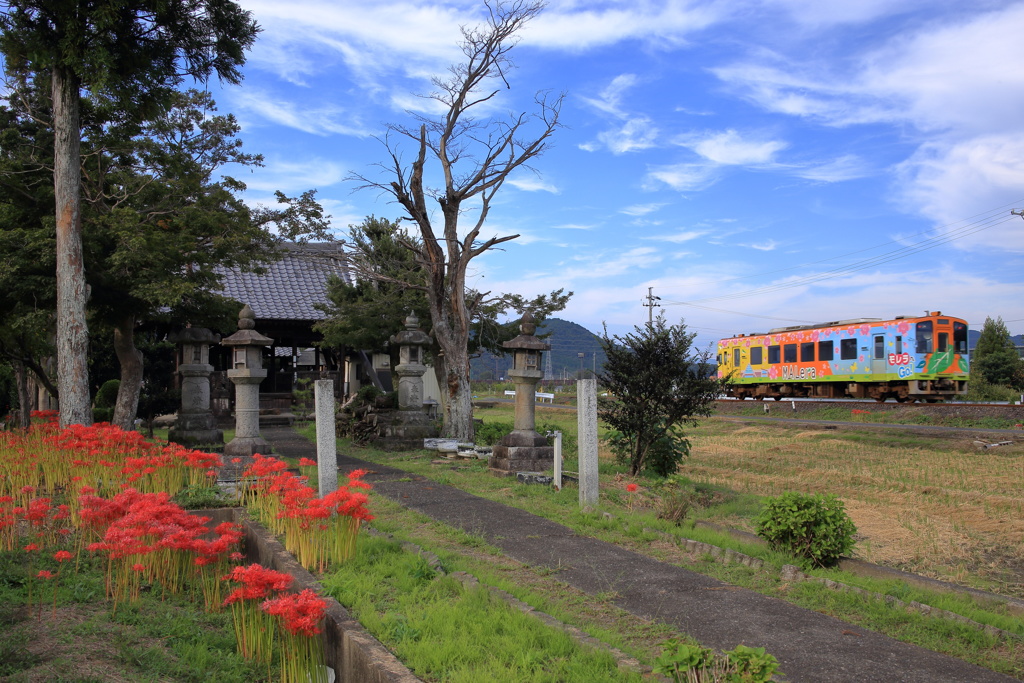 秋の春日神社とローカル線