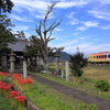 秋の春日神社とローカル線