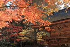 神社紅葉