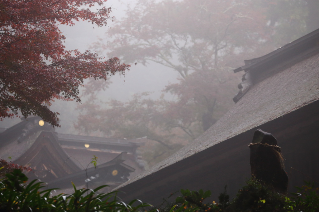 天然フォギーの大矢田神社