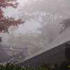 天然フォギーの大矢田神社