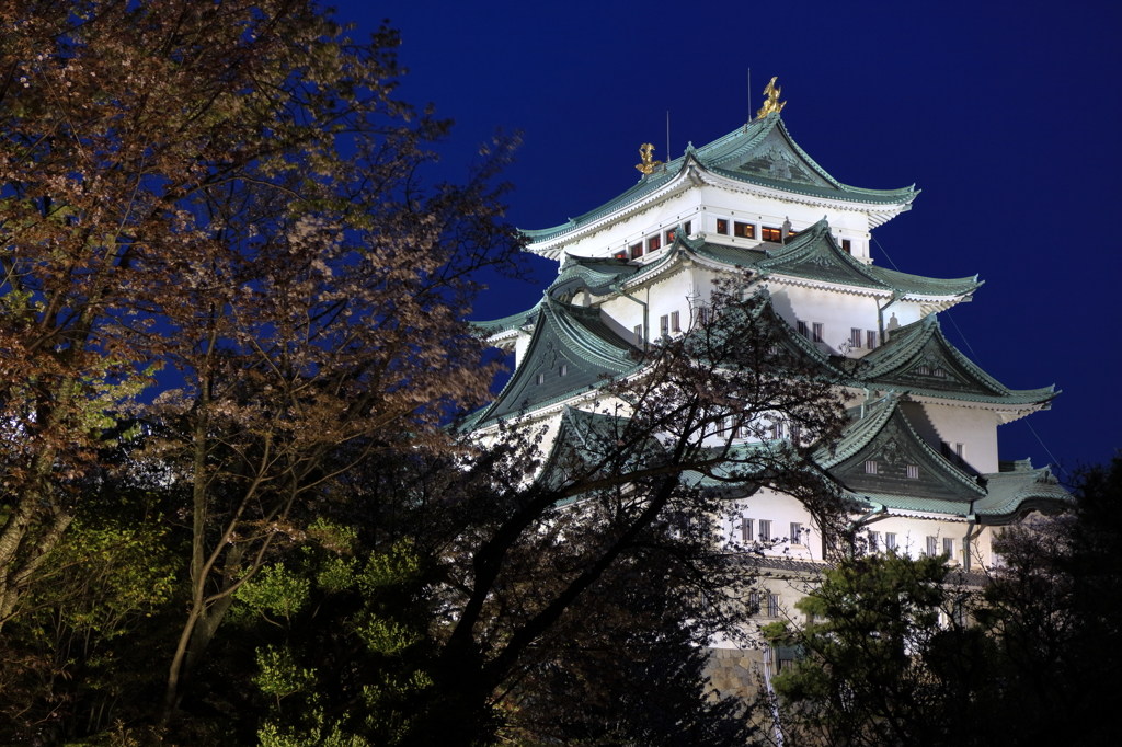 桜散る名古屋城