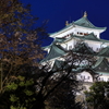 桜散る名古屋城