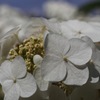 20140608101352_IMG_0440