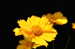 20140530123545_IMG_0035_1