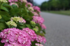 20140604123009_IMG_0231