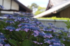 20140608101034_IMG_0439