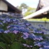 20140608101034_IMG_0439