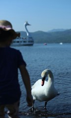 20140601153125_IMG_0159-1